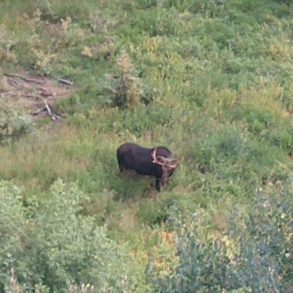 Meet your Posher, Kevin - Picture 1 of 1